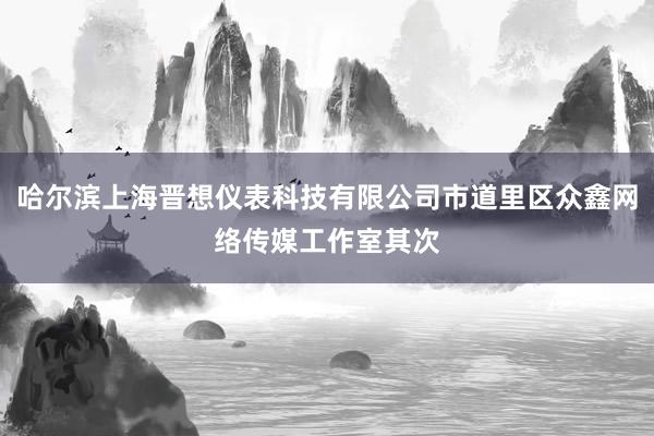 哈尔滨上海晋想仪表科技有限公司市道里区众鑫网络传媒工作室其次