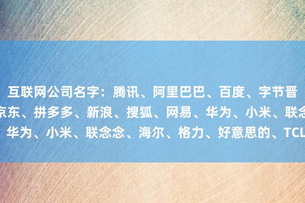 互联网公司名字：腾讯、阿里巴巴、百度、字节晋升、好意思团、滴滴、京东、拼多多、新浪、搜狐、网易、华为、小米、联念念、海尔、格力、好意思的、TCL、海信。