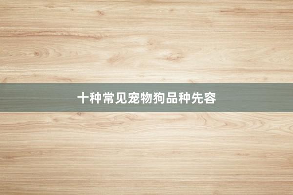 十种常见宠物狗品种先容