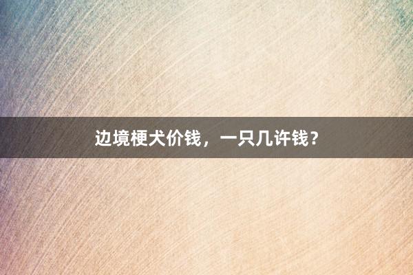 边境梗犬价钱，一只几许钱？